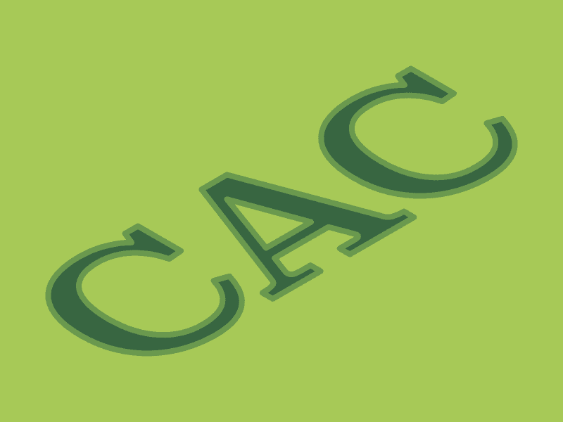 Customer Acquisition Cost (CAC) and its Role in Growth Marketing